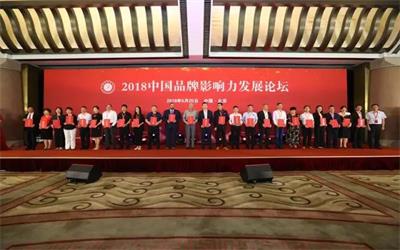 银河集团9873com公司荣膺“2018中国品牌影响力百强”企业